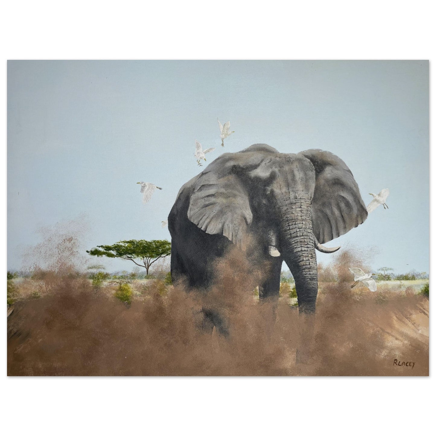 2b038f9b-a8c8-4c42-a16c-95d3a191f219