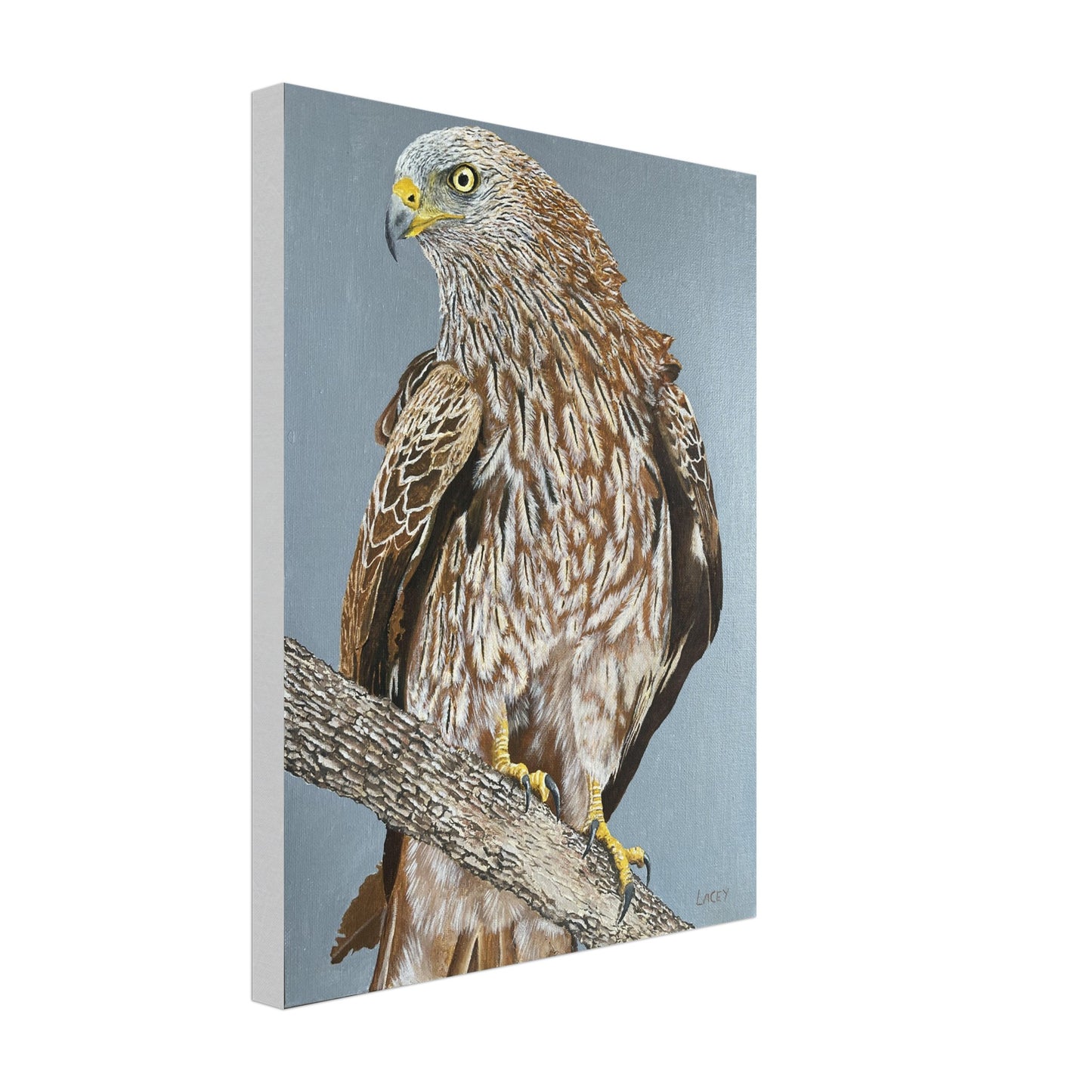 9b93f700-0457-45f5-a21c-d53aaba7e930