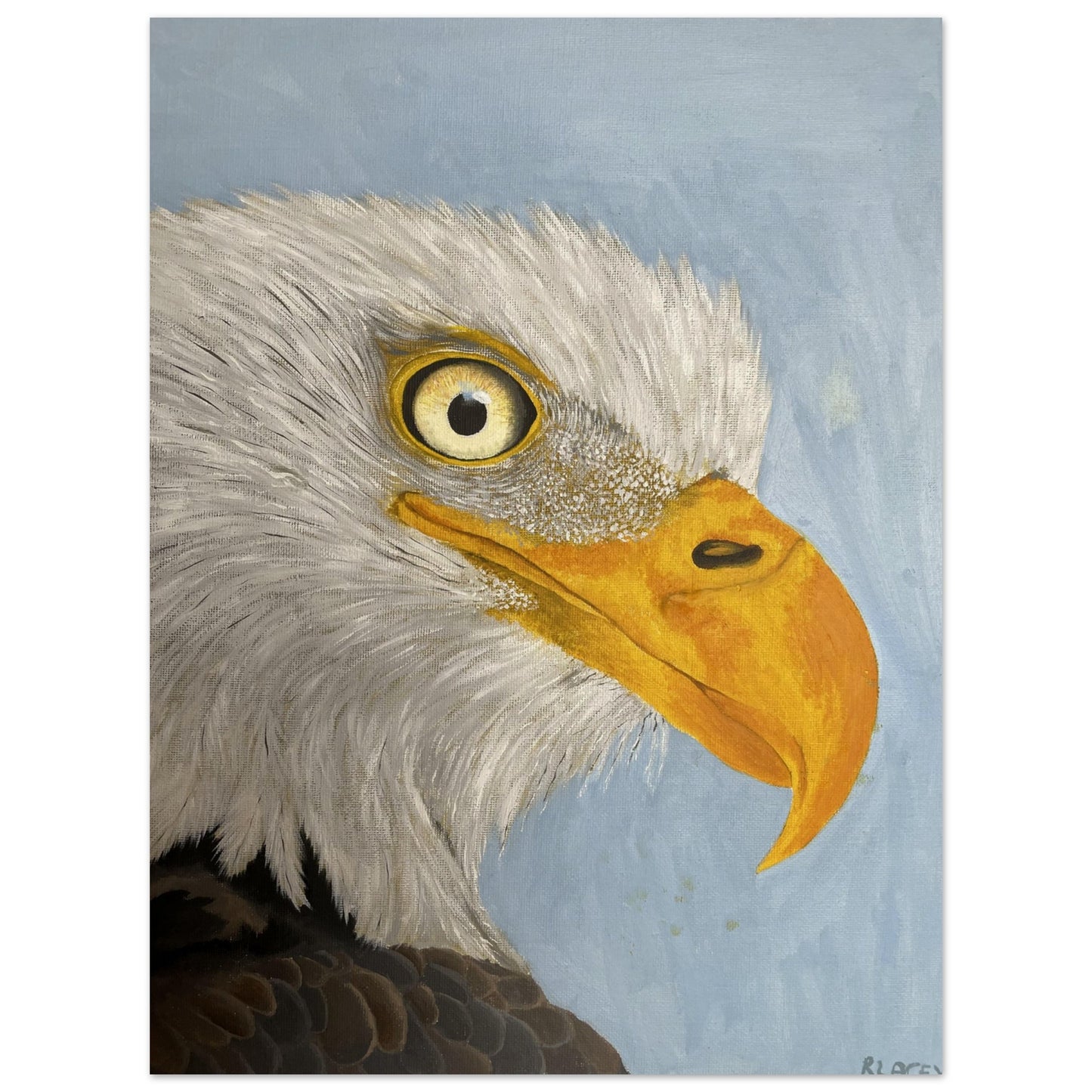 9cb1a70f-0599-4d49-ade3-03d319d21f7b