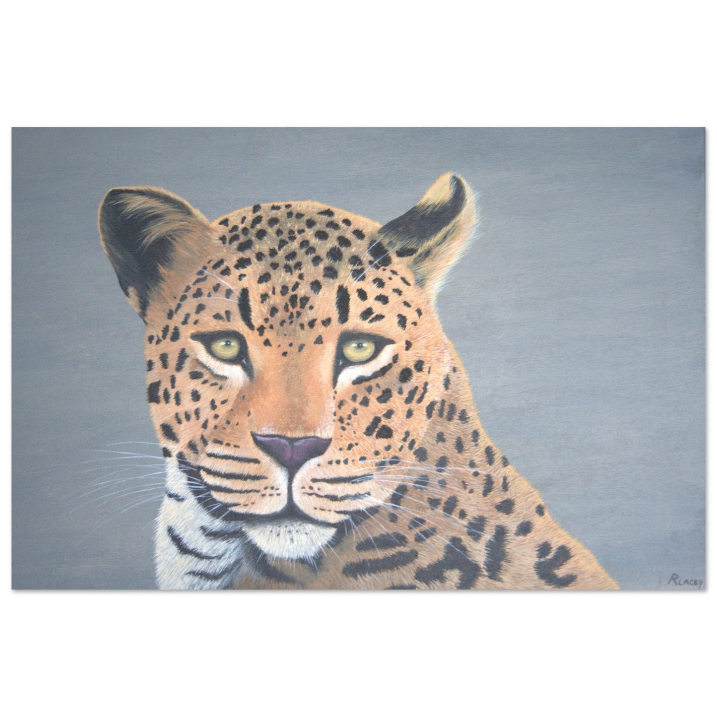 b9eae63d-f427-4b18-b770-7fbd71683e5f