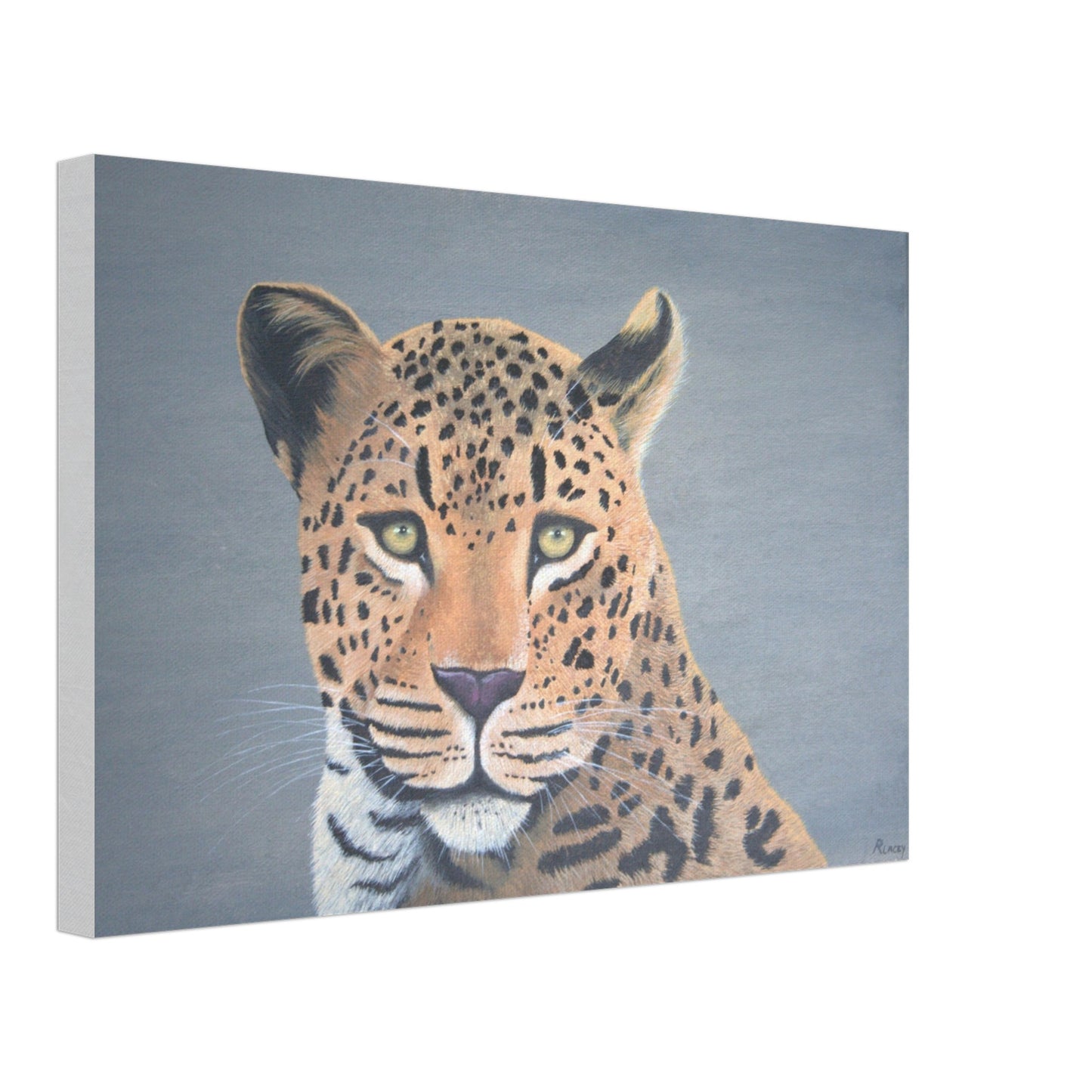 d4131cf4-e91e-40a9-9981-9763766504eb