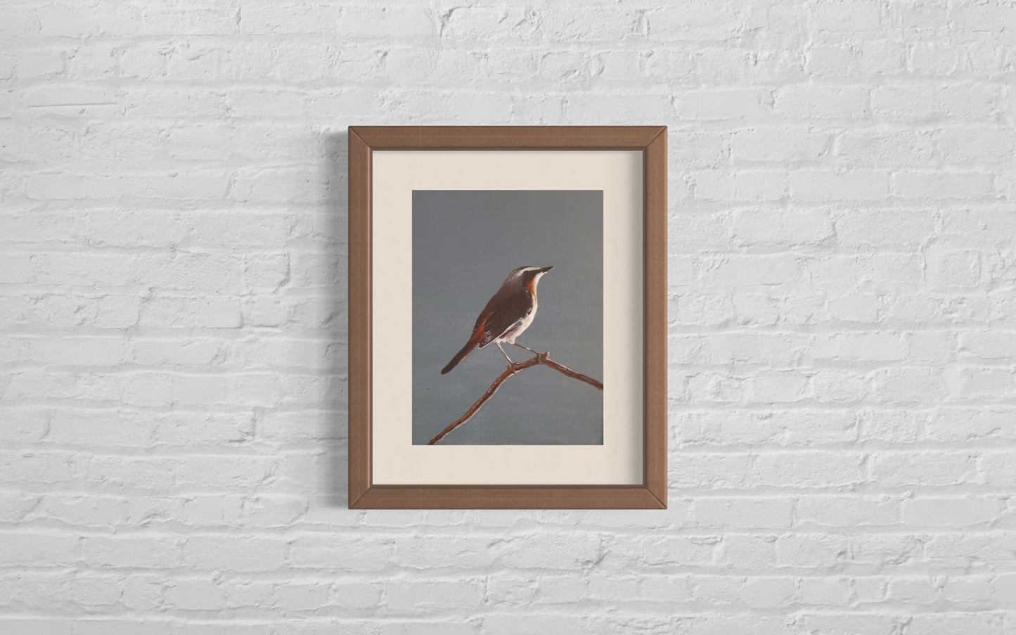 Acrylic painting of a Butcherbird