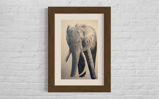 Acrylic painting of a large tusker elephant 'Joao'
