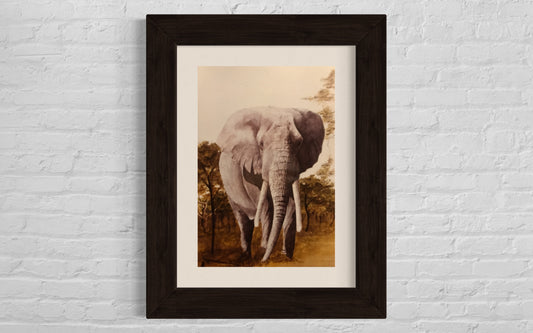Watercolour painting of a big tusker elephant 'Letaba II'