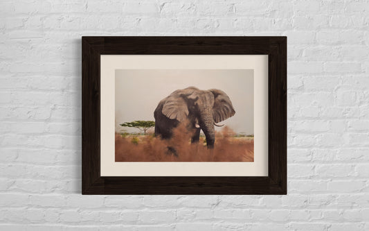 Acrylic painting of an elephant taking a dust bath